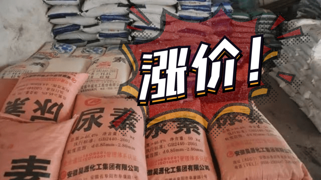 一噸再漲100元，將突破2800元！已經連續暴漲近400元！多地價格再創新高！9月14日（附最新報價）！